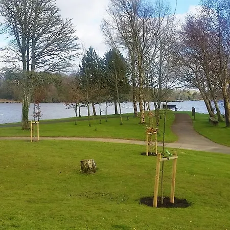 Hawthorn 4* Mountshannon